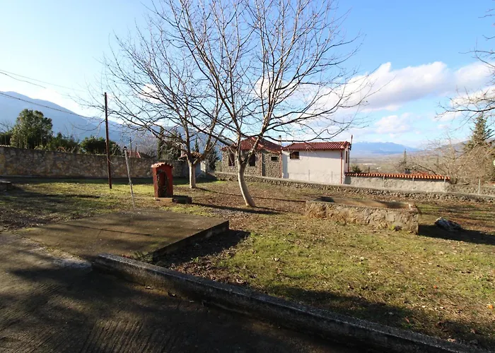 Raise Family Polydrossos